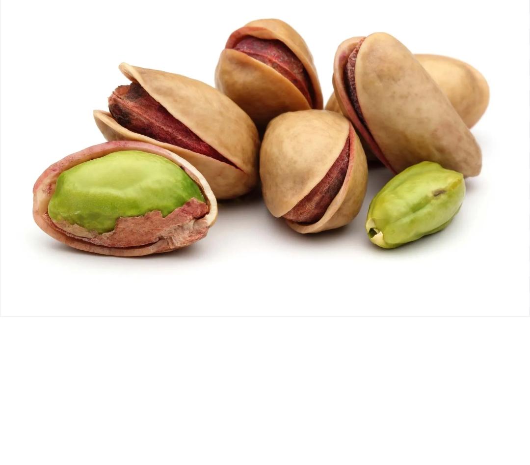 پسته عزیز + خرید