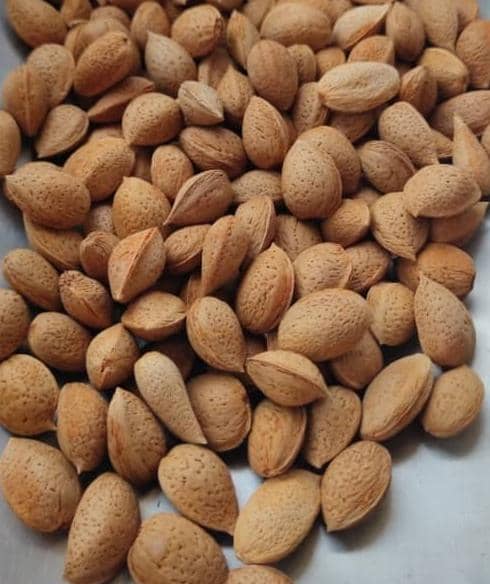 تصویر 4 از بادام درختی پوست نازک با بافت ترد مناسب مصرف خام