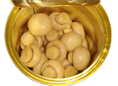 کنسرو قارچ مرغوب با طعم جنگلی + خرید