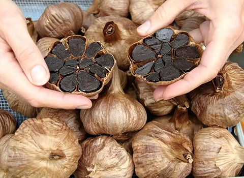 قیمت استثنایی سیر سیاه استارا + خرید
