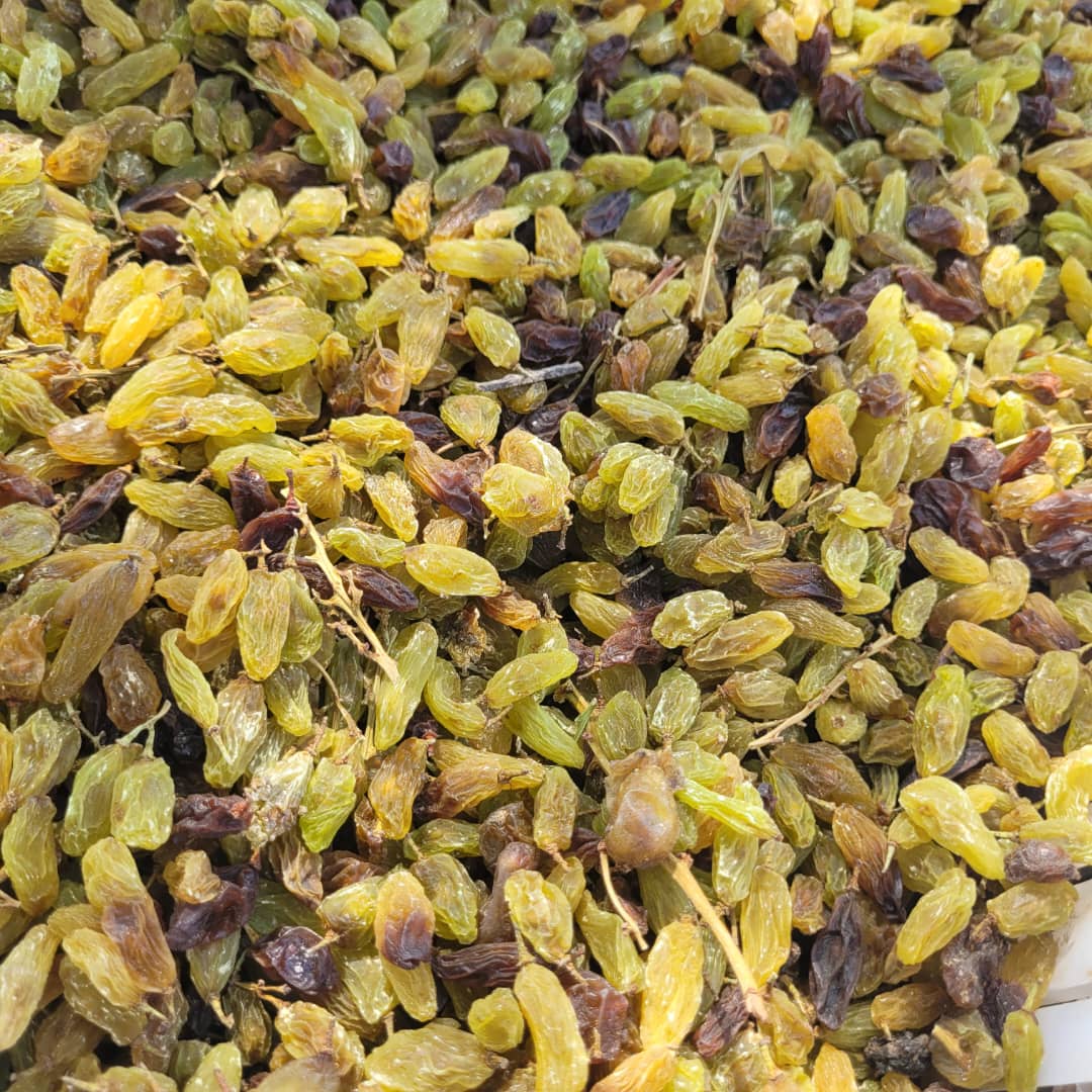کشمش مرغوب کاشمر + فروش عمده