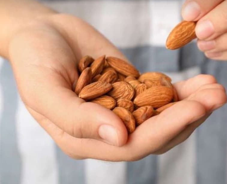 مغز بادام درختی