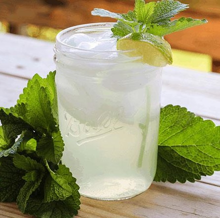عرق بادرنجبویه + قیمت استثنایی