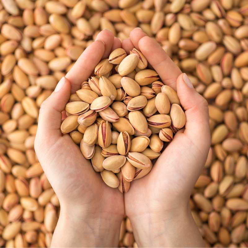 فروش عمده پسته اکبری درجه یک با قیمت روز و کیفیت صادراتی