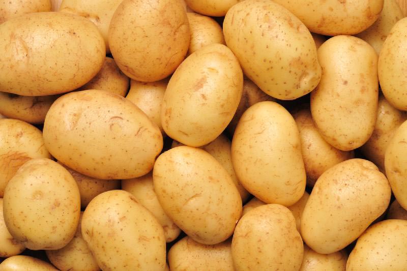 انواع سیب زمینی های خوراکی همدان