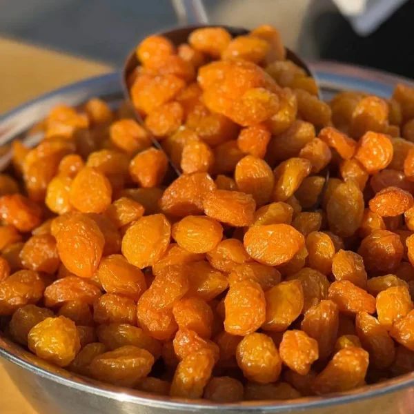 فروش عمده آلو خورشتی نیشابور