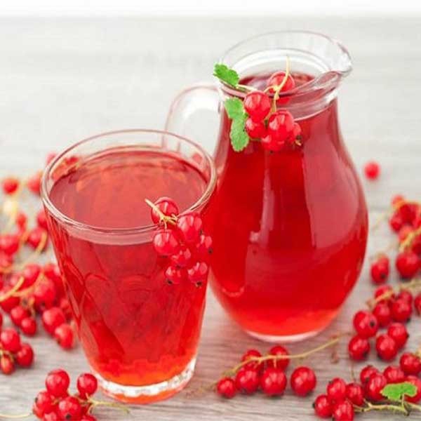 قیمت شربت زرشک بدون قند + فروش عمده