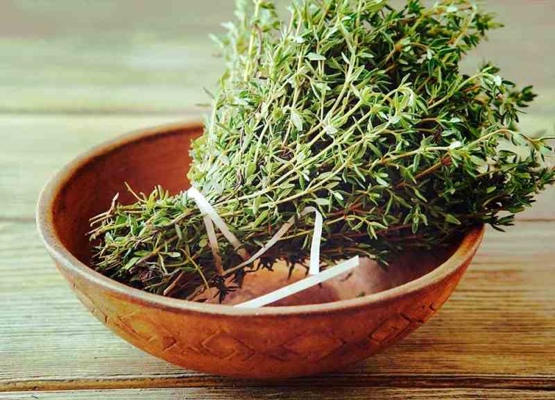 فروش ویژه آویشن خشک با کیفیت عالی