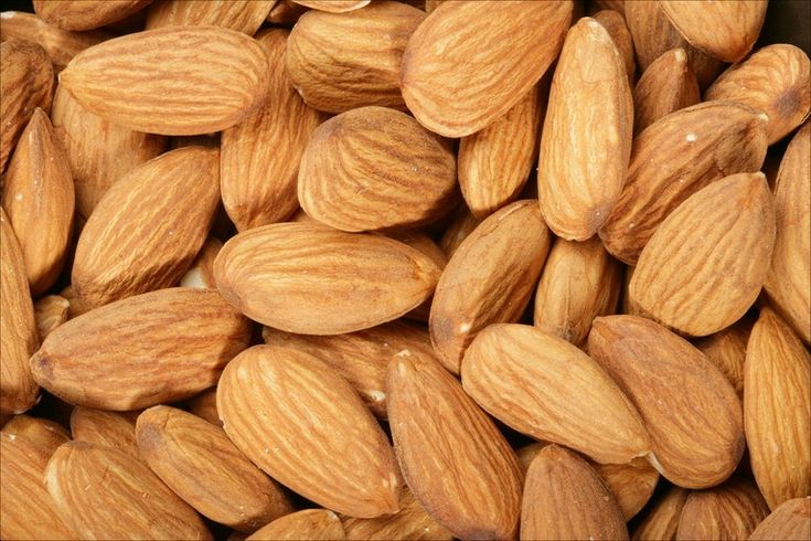 فروش بادام درختی تازه امسالی خرید + عمده