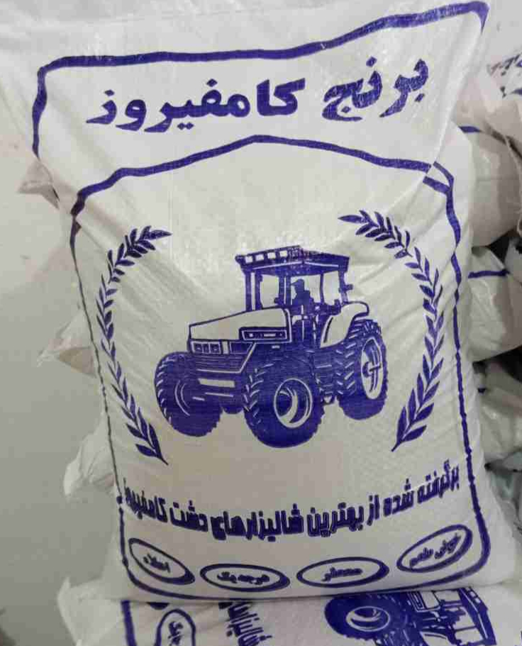 قیمت برنج کامفیروز کشت روز + فروش فوق العاده