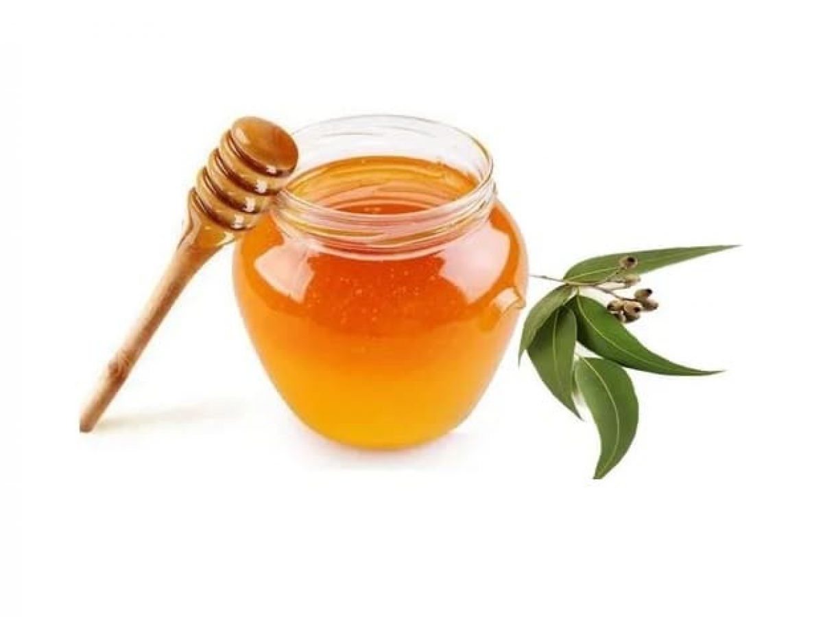 قیمت عسل اکالیپتوس + شیشه 900 گرمی
