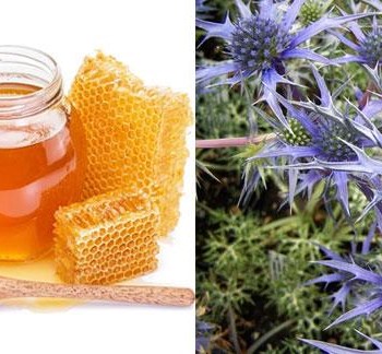 قیمت عسل زول + شیشه 900 گرمی