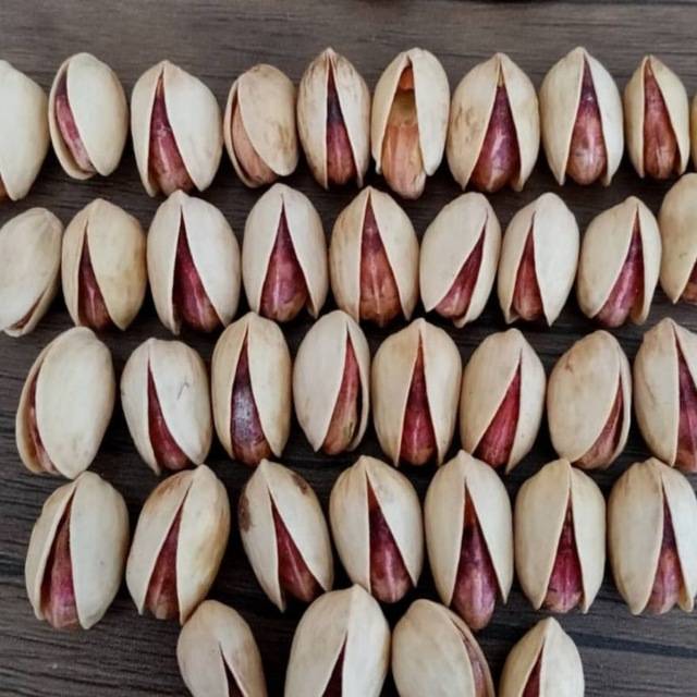 خرید و فروش عمده پسته خام احمد آقایی + قیمت به صرفه
