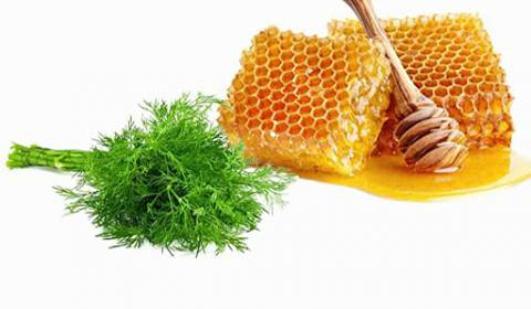قیمت عسل شوید + شیشه ۹۰۰ گرمی