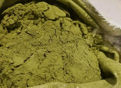 پودر حنا مرغوب شهداد کرمان قیمت مناسب