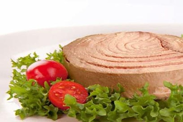 خرید کنسرو ماهی تن
