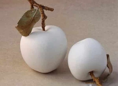 فروش سیب گالا سفید صادراتی + فروش عمده و شرایط ویژه