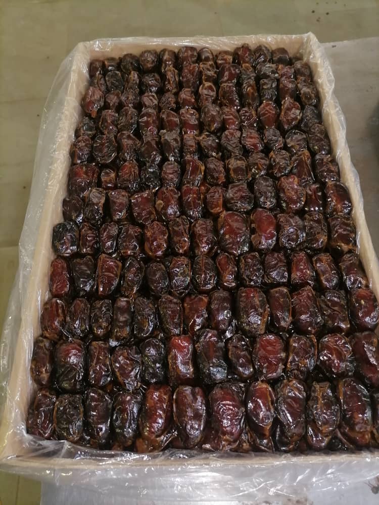 خرید خرما کبکاب بوشهر + قیمت ویژه