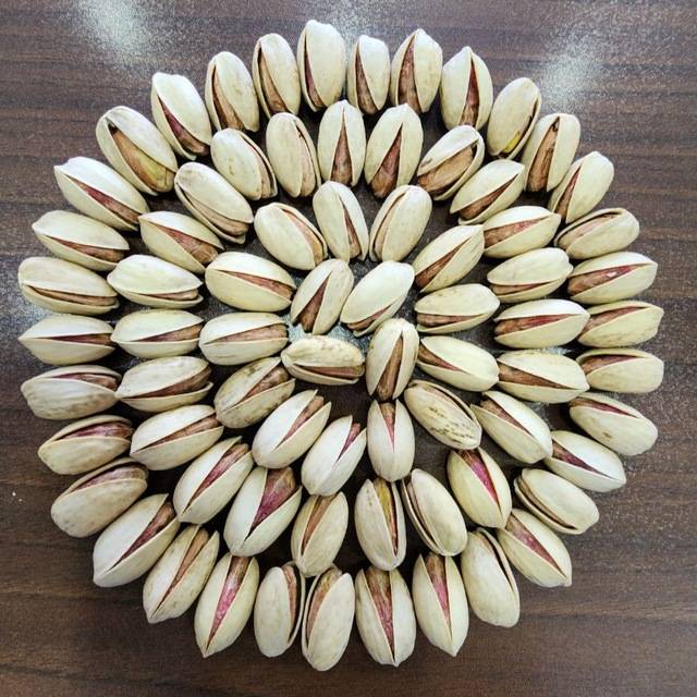 فروش پسته اکبری سیرجان + با شرایط ویژه