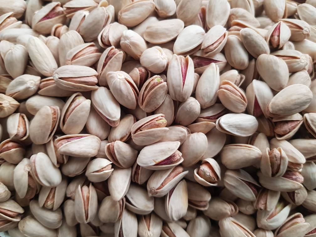 فروش پسته اکبری درجه یک + قیمت خرید به صرفه