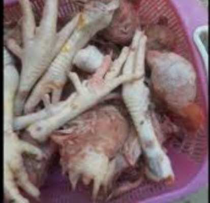 پای مرغ عمده و تازه خرید