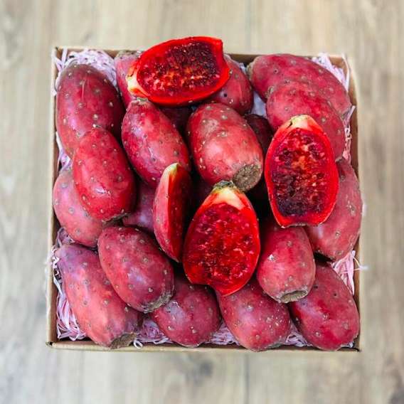 خرید میوه کاکتوس قرمز صادراتی + بسته بندی طبق سفارش