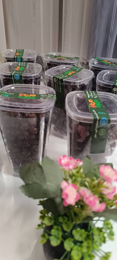 آلبالو گیلاسی خشک خرید