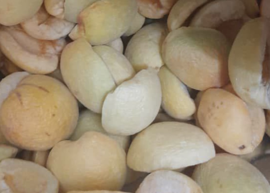 میوه و بستنی خشک کرشمه خرید
