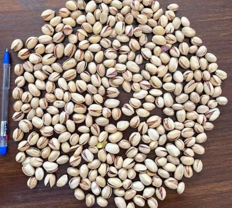 تنوعی بی نظیر از بهترین پسته های ایرانی + یکه تاز در صادرات