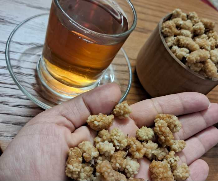 توت خشک تازه امسالی + فروش عمده