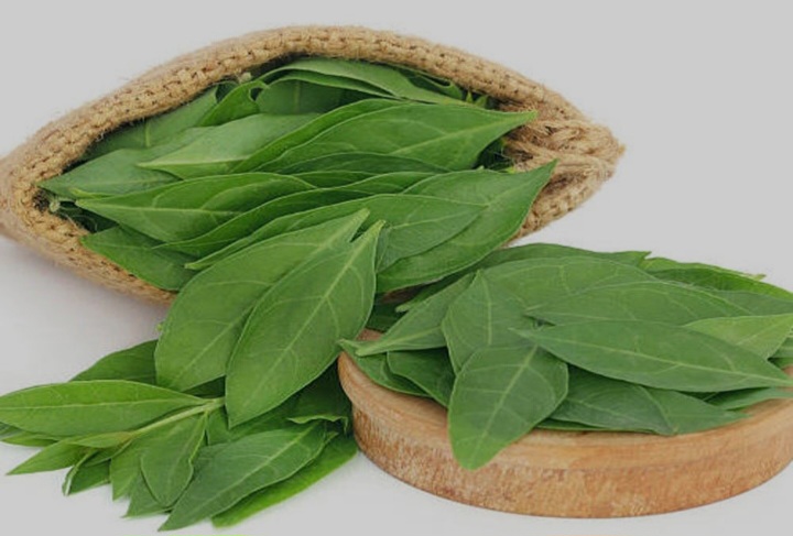 برگ حنای مرغوب یزد
