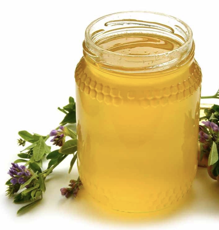 قیمت عسل یونجه شیشه های ۵۰۰ گرمی + فروش عمده