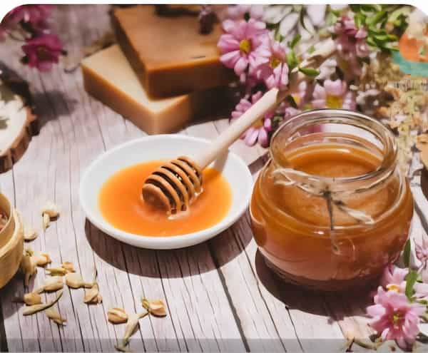 خرید و قیمت عسل گون گزنه به صرفه و عمده