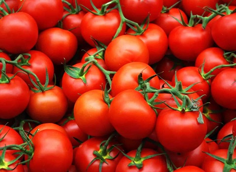 قیمت گوجه‌ فرنگی خوشه ای