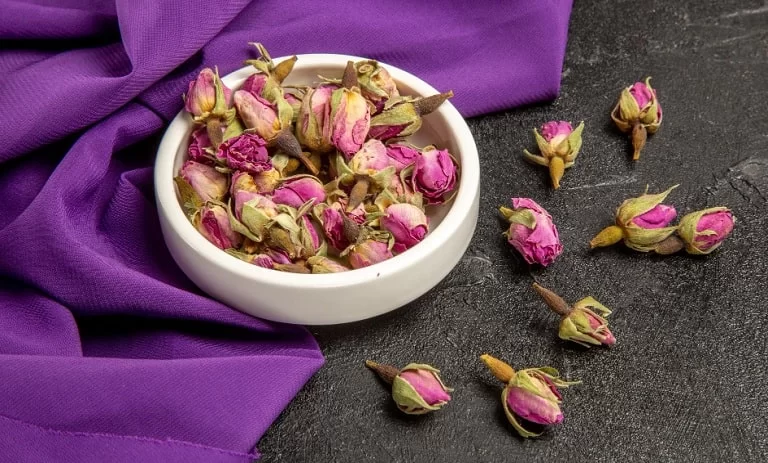 غنچه گل محمدی با خواص و کاربردهای بی نظیر