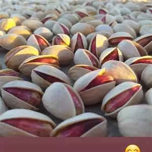 فروش پسته احمدآقایی صادراتی به‌صورت عمده