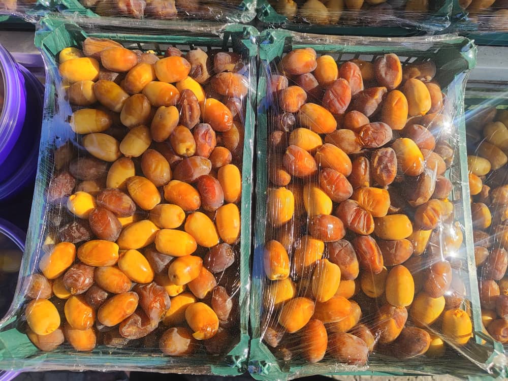 خرید خرما رطب کبکاب