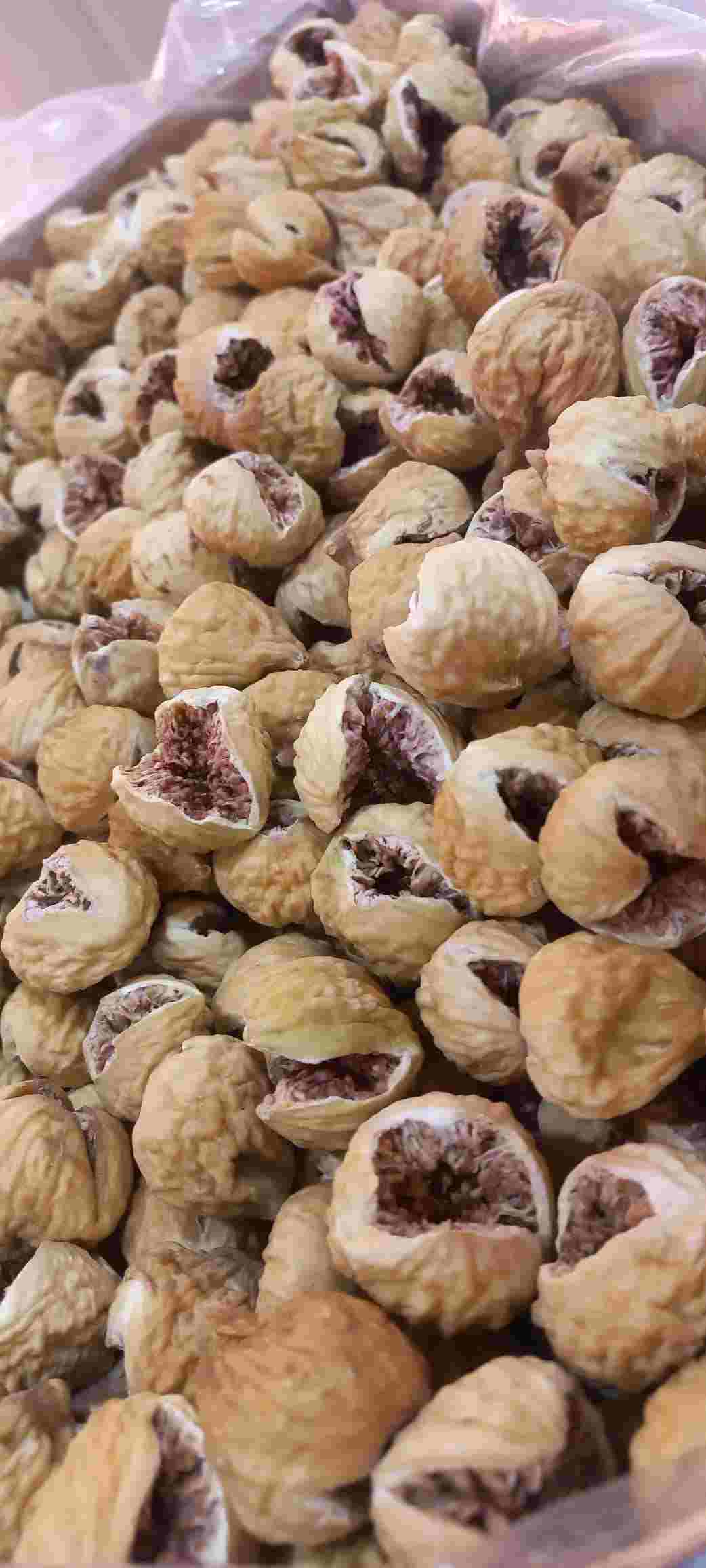 انجیر غنچه و صد یک خرید
