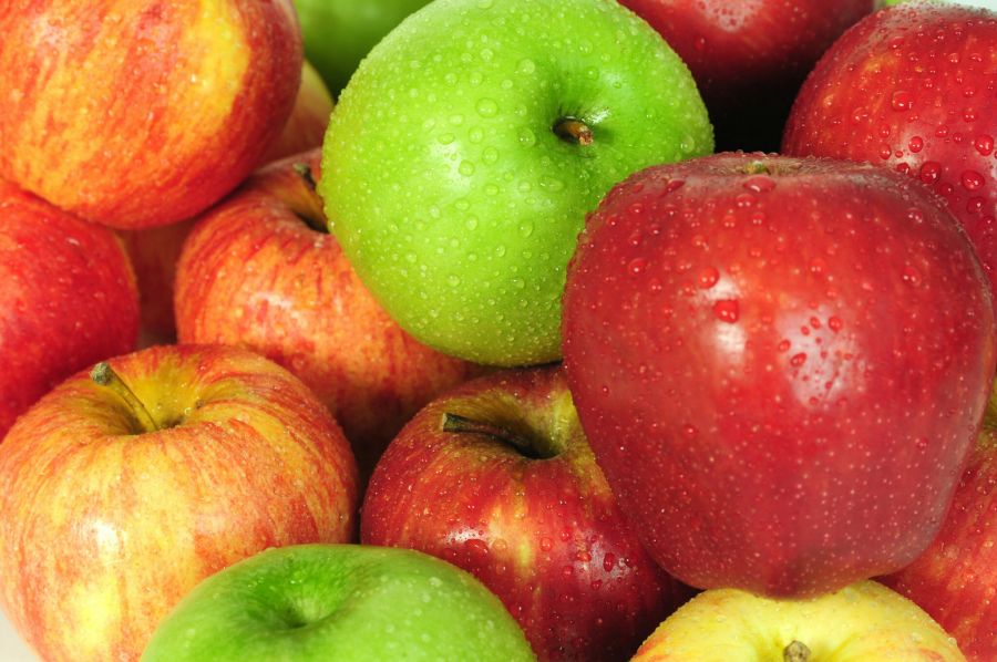 فروش سیب کوهستانی محلی اشنویه مناسب مصرف روزانه + فروش عمده