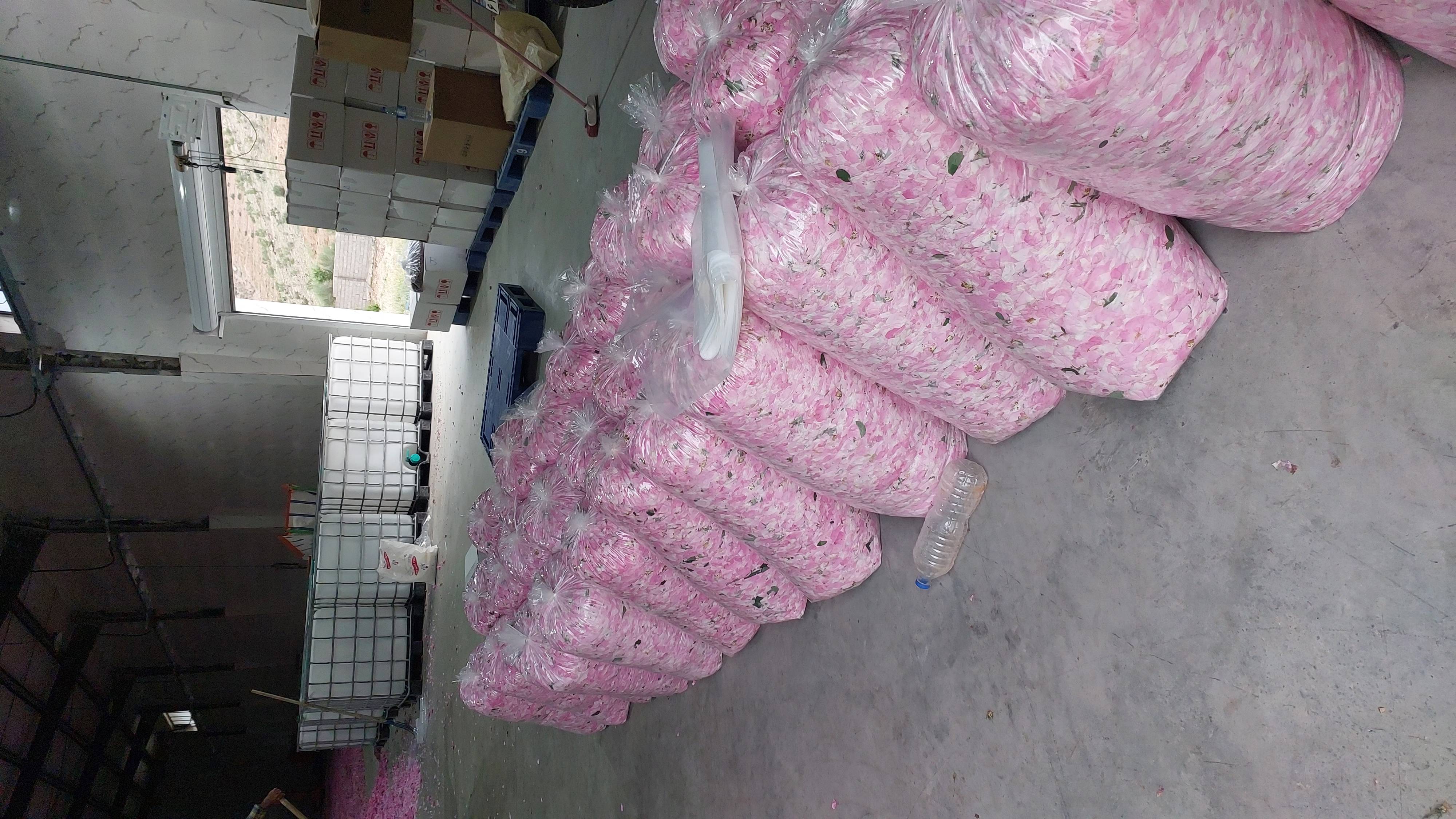 خرید عمده گلاب اعلا جهت صادرات