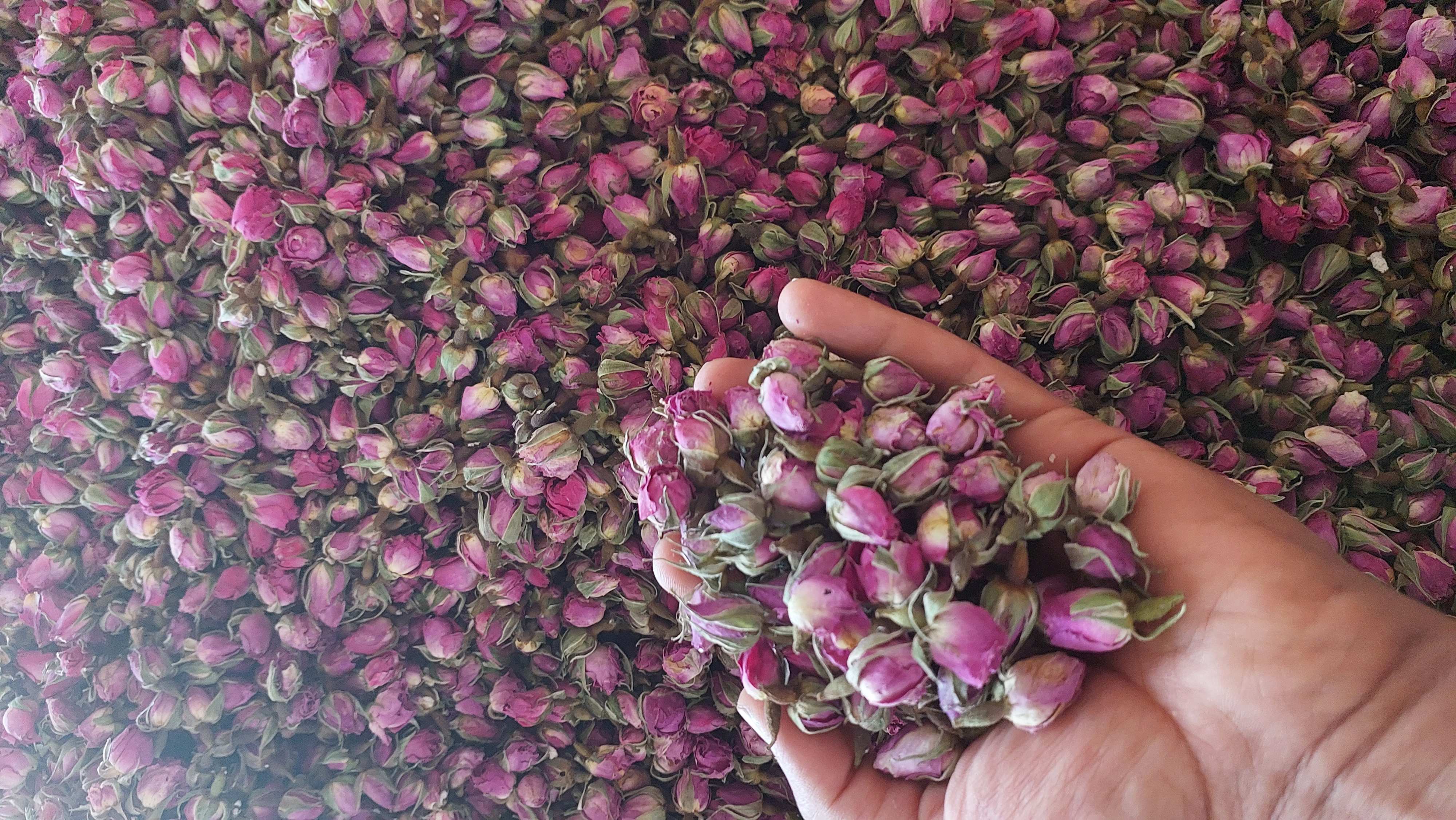 غنچه خشک گل محمدی به صرفه