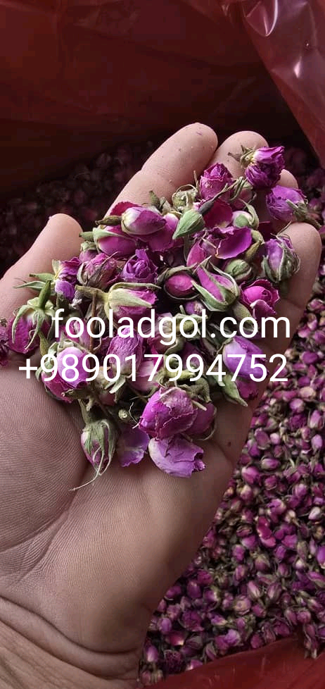 خرید غنچه خشک گل محمدی ارزان