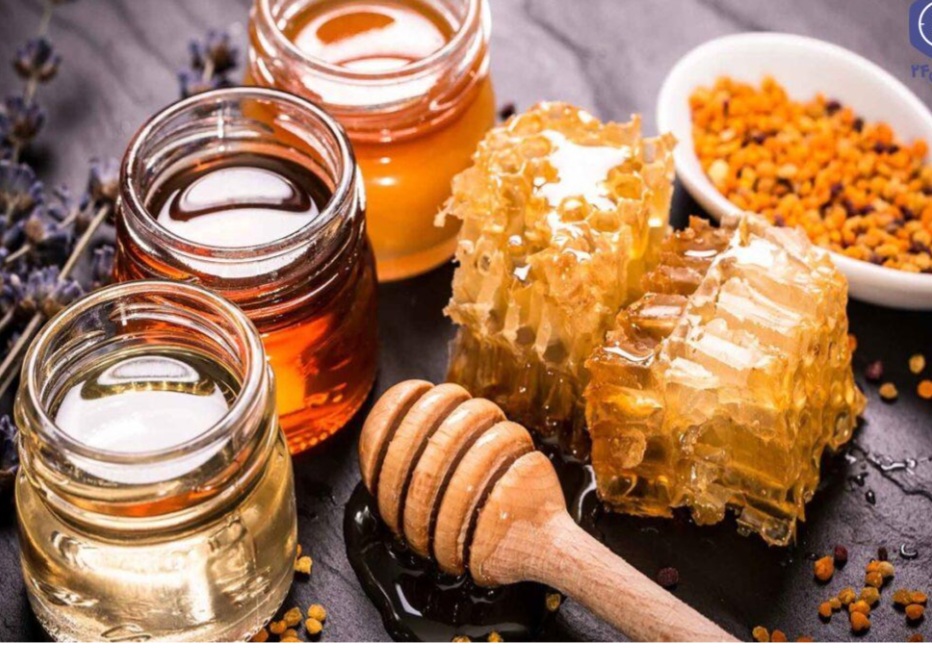 فروش عمده عسل بهاره باموم به قیمت عمده