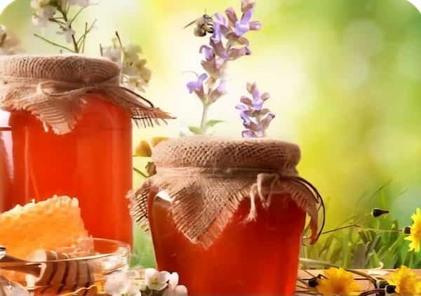 خرید عسل شبدر + قیمت و فروش استثنایی