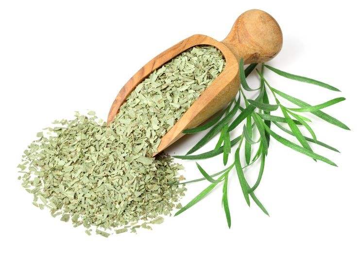 خرید آویشن ارگانیک کوهی