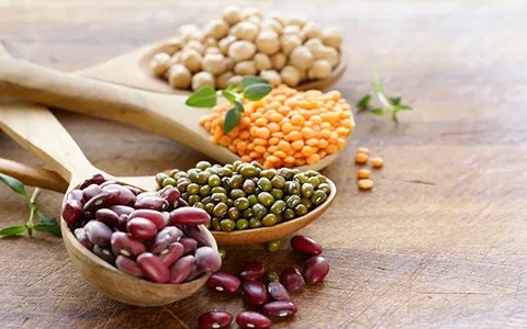کنسرو حبوبات آبگوشتی