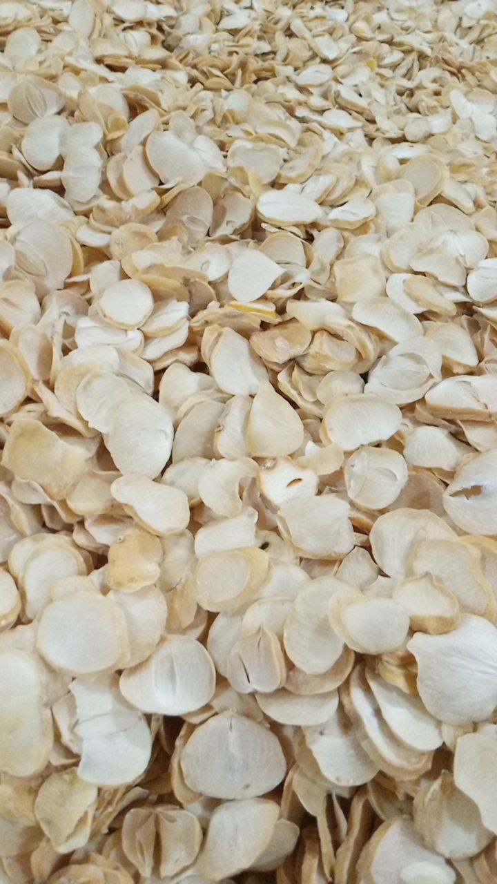 موسیر کوثر