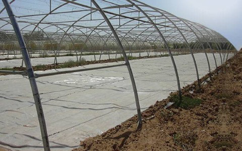 خرید نایلون کف گلخانه + قیمت باور نکردنی