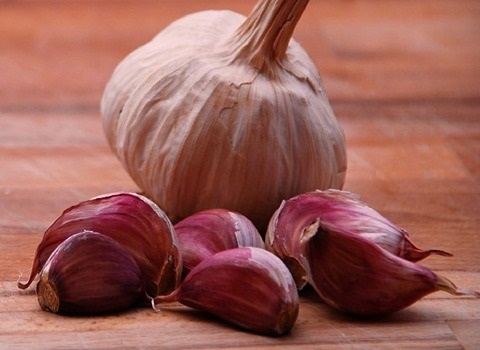 سیر قرمز بذری پارس آباد خرید