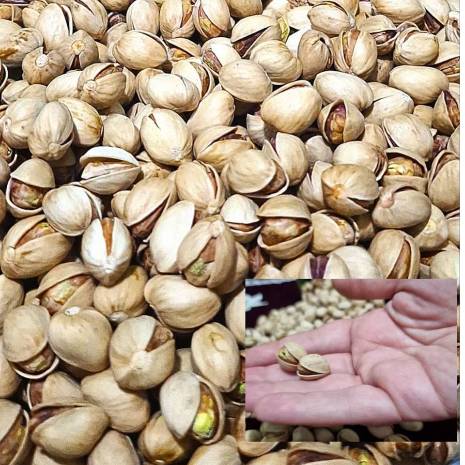 قیمت پسته فندقی عمده با کیفیت ارزان + خرید عمده
